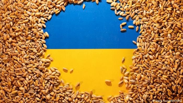 أوكرانيا تستأنف تصدير الحبوب من 3 موانئ