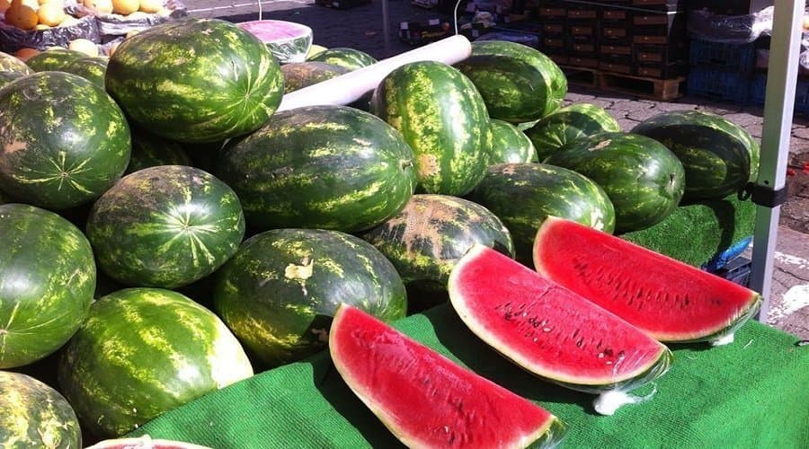 سلطات زاكورة تعلن تقنين زراعة البطيخ الأحمر والأصفر