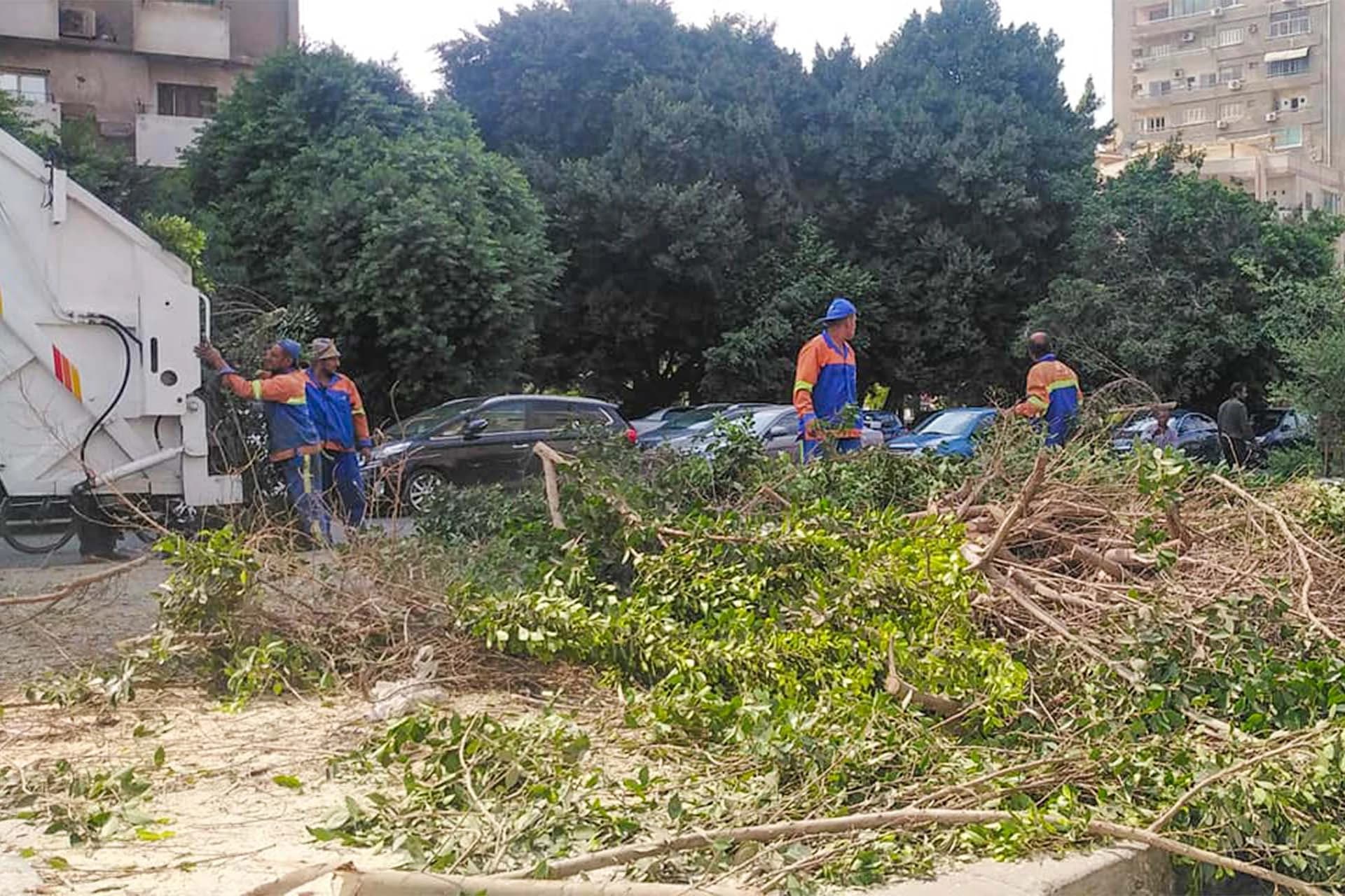 الدار البيضاء …اقتلاع الأشجار يغضب ساكنة المنطقة