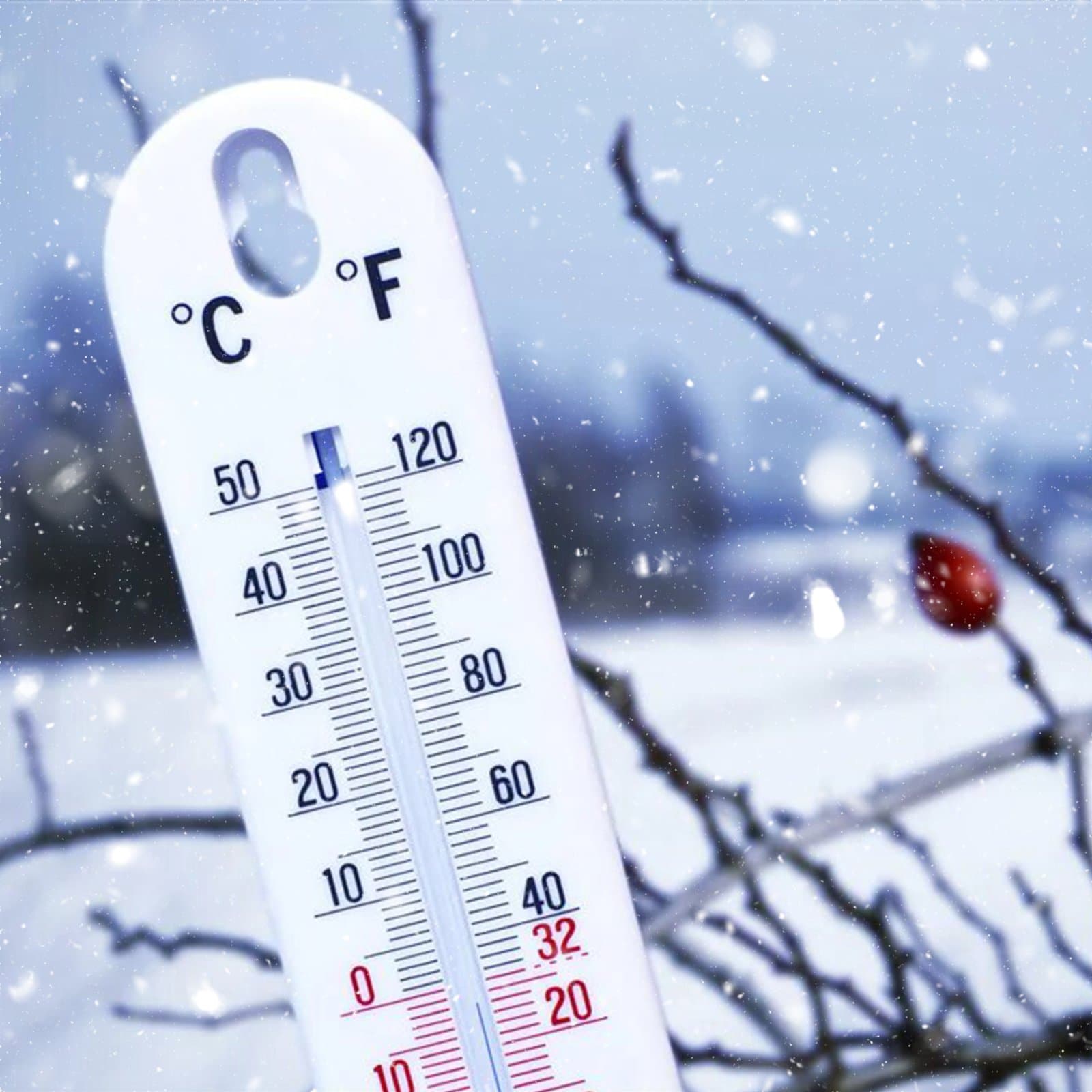 نشرة خاصة.. طقس بارد مع درجات حرارة تتراوح ما بين ناقص7 و 19 درجة، وذلك ابتداء من يوم غد الجمعة