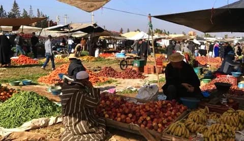 أسعار الخضر تستمر في الارتفاع.. البصل يصل ل18 درهما والطماطم تتجاوز 13 درهما