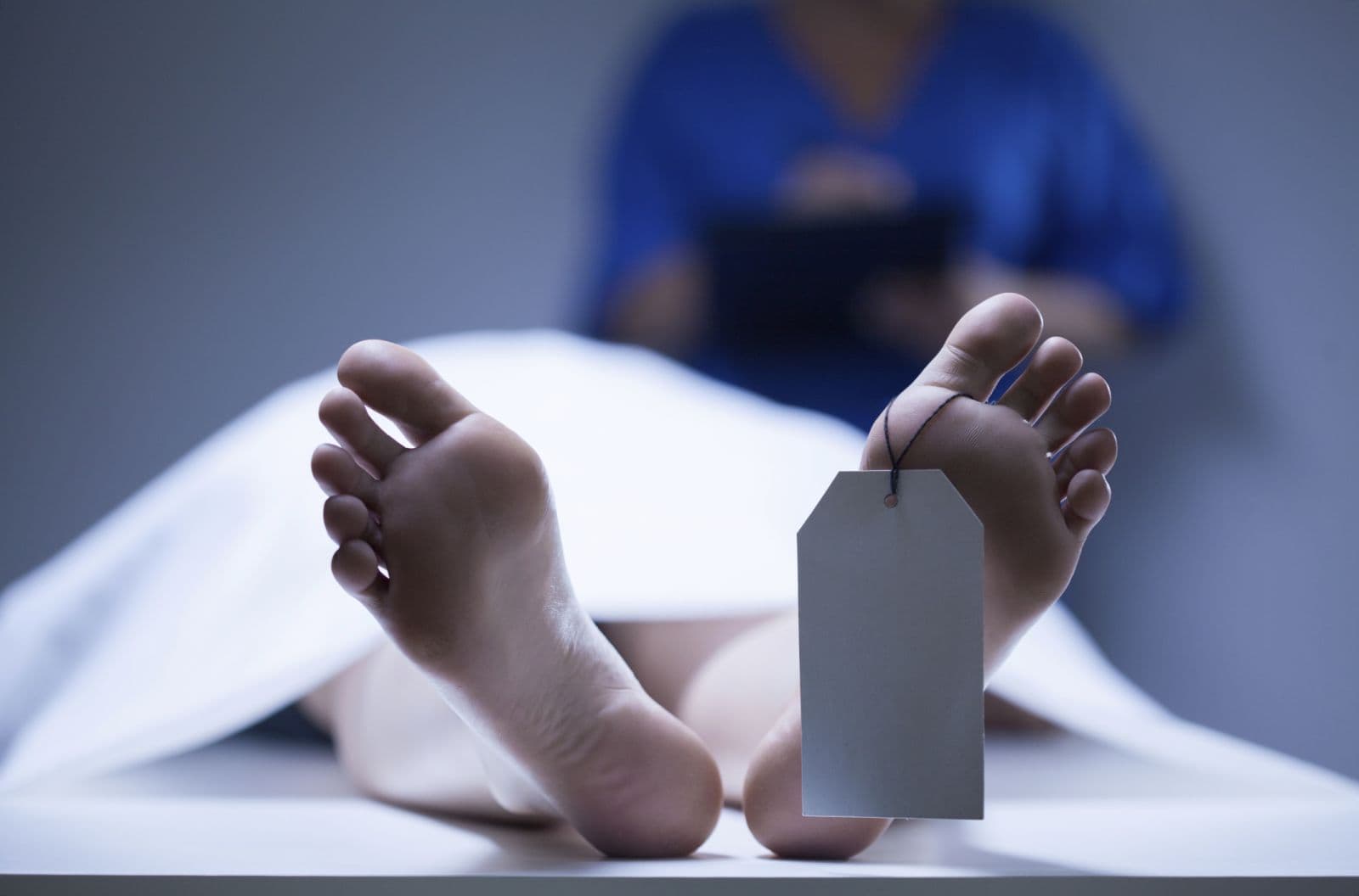 إقدام سيدة على قتل شقيق زوجها بطريقة وحشية ودموية