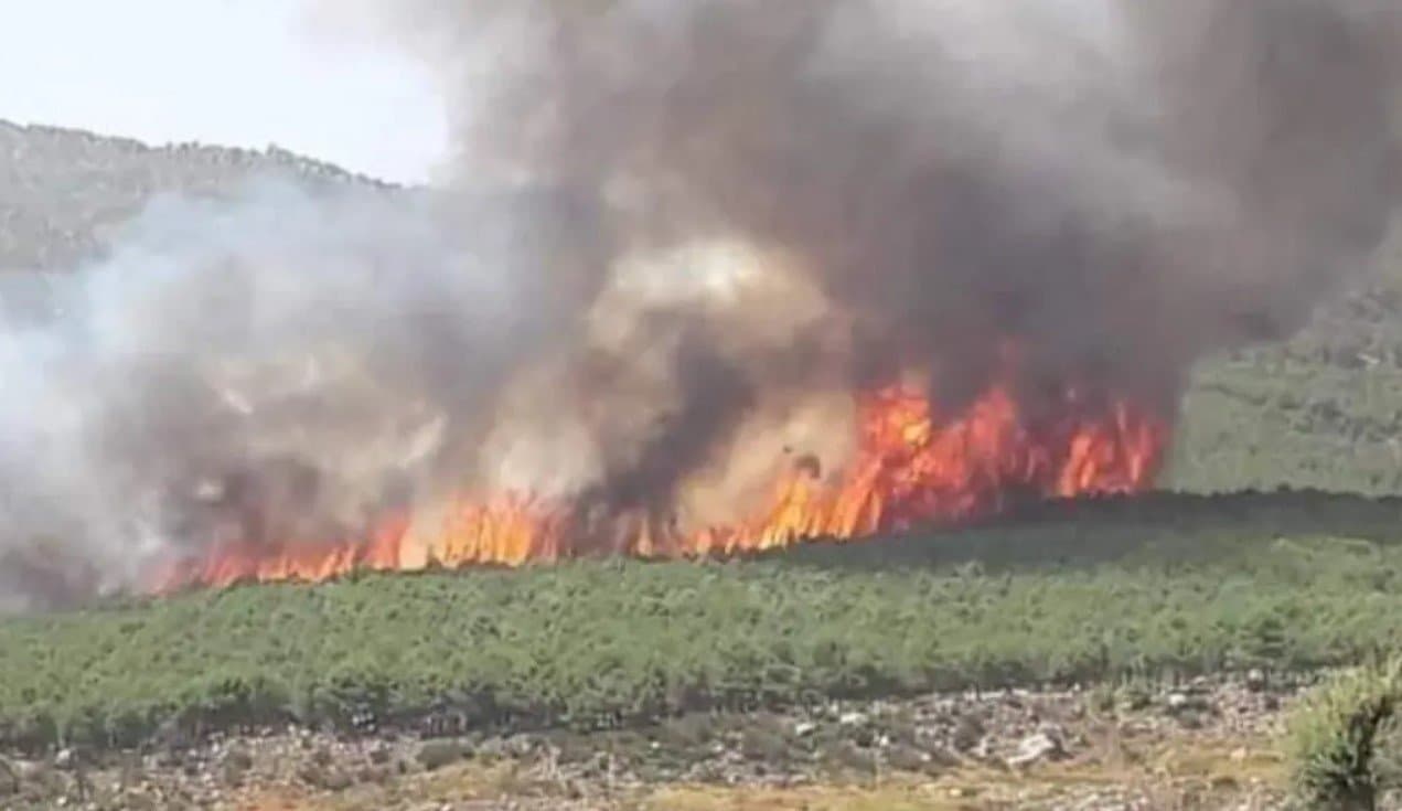 اندلاع حريق مهول بغاية جبل افرطن ضواحي شفشاون