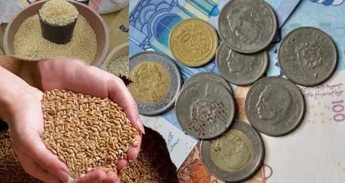 المجلس العلمي الأعلى يحدد قيمة زكاة الفطر لهذه السنة