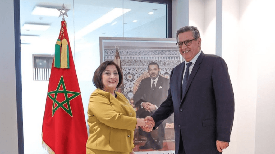  رئيس الحكومة يستقبل رئيسة الجمعية الوطنية لأذربيجان.