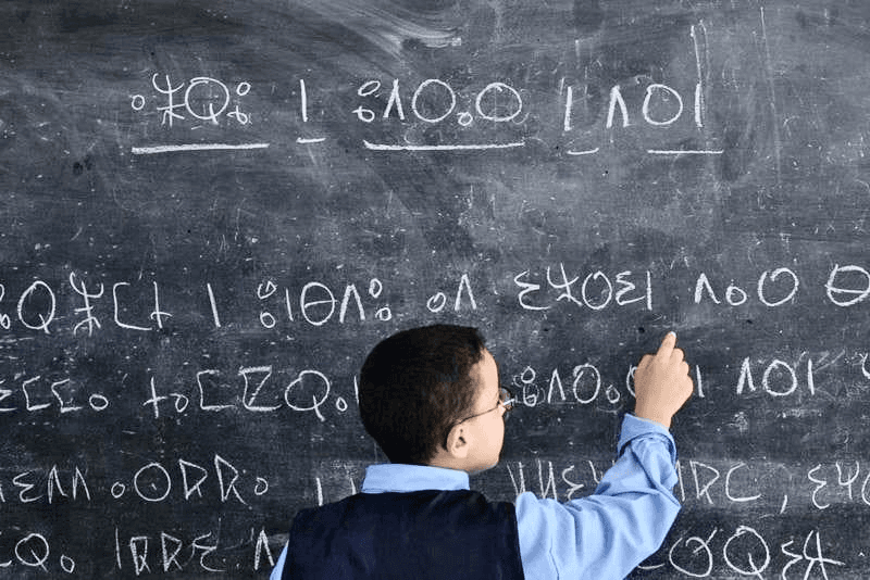 بنموسى : 31% نسبة المؤسسات التعليمية الابتدائية التي تُدرَّس بها اللغة الأمازيغية .