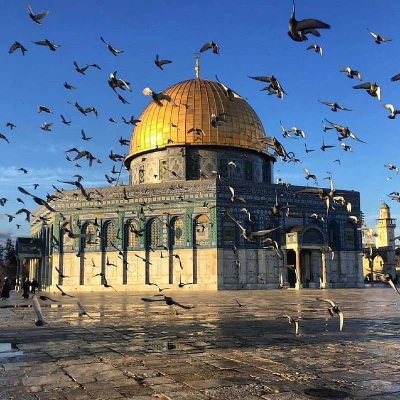 رئيس المجلس الوطني الفلسطيني يُشيد بجهود جلالة الملك محمد السادس في دعم القدس والقضية الفلسطينية.