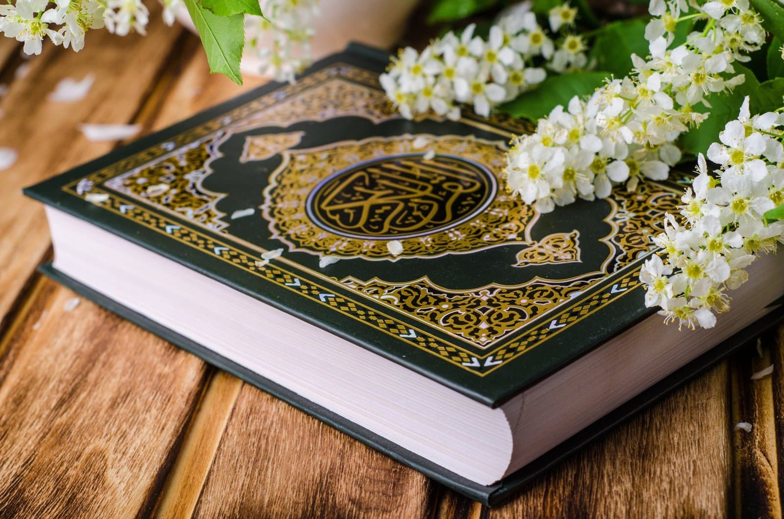 فوز المقرئتين حفصة صبري و ملاك قاسمي بالمسابقة النهائية الجهوية في حفظ وتجويد القرآن الكريم بالعيون