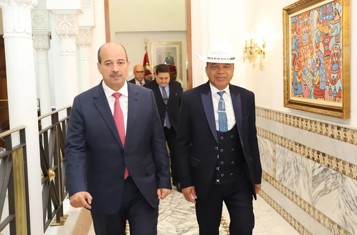 النعم ميارة يتباحث مع رئيس مجلس الشيوخ بجمهورية مدغشقر. 