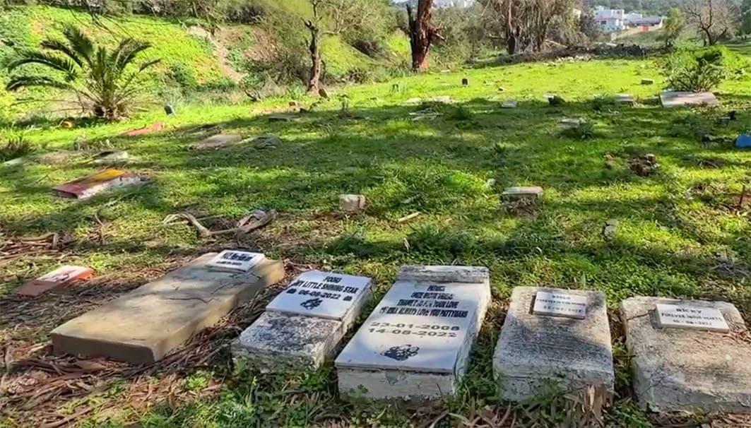 الوحيدة بإفريقيا .. إدراج مقبرة الكلاب بطنجة ضمن الآثار التاريخية والتراث الوطني