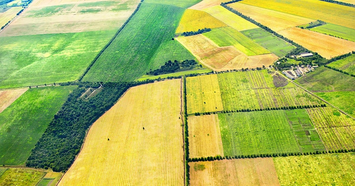 استثمار إماراتي في القطاع الزراعي المغربي
