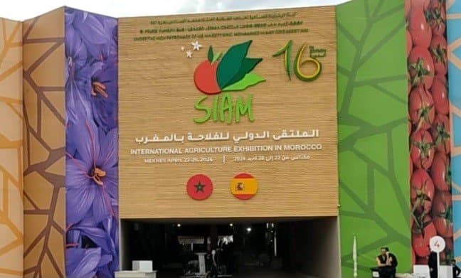 آي أيه براندينغ فاكتوري.. استفادة 11 تعاونية من الخدمات التكنولوجية للذكاء الاصطناعي