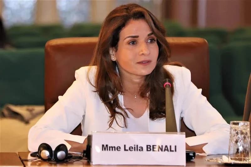 باريس : ليلى بنعلي تتباحث مع المدير العام للوكالة الدولية للطاقة
