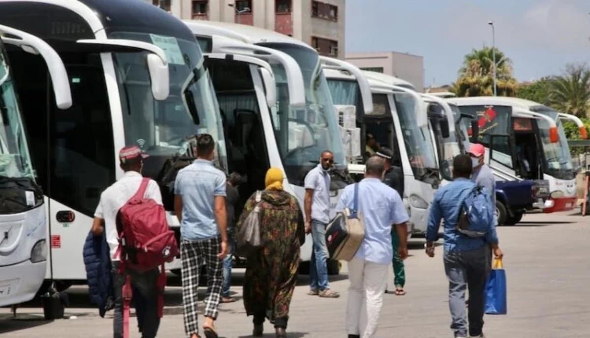 وزير النقل يستعرض الإجراءات القبلية لتلبية حاجيات المسافرين خلال فترة عيد الأضحى