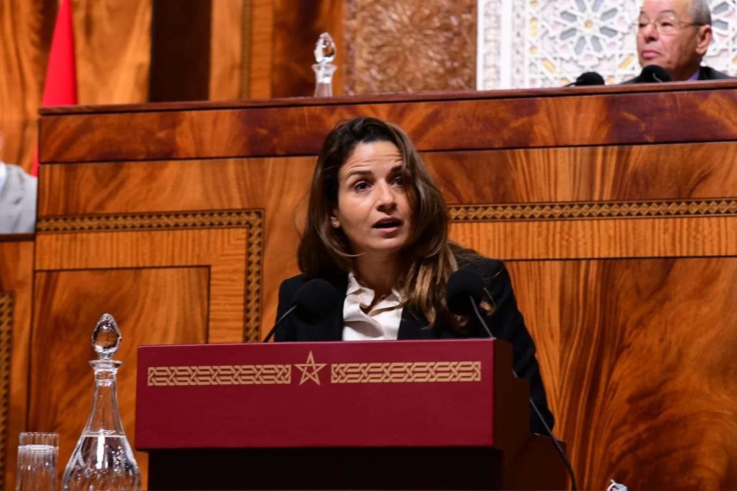 مشروع أنبوب الغاز نيجيريا-المغرب: محرك للتنمية الاقتصادية الإقليمية وربط القارتين الإفريقية والأوروبية