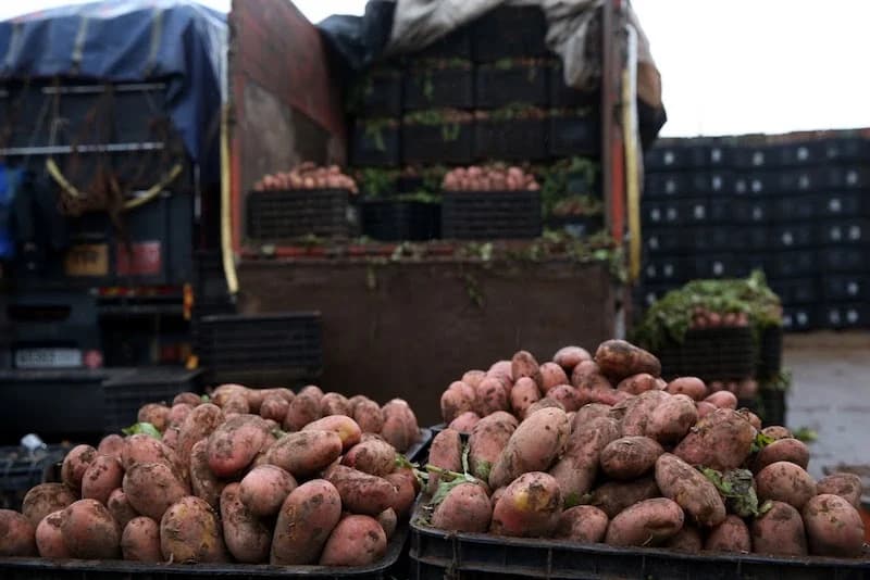 رفع الحظر عن صادرات البطاطس والبصل يقسم المهنيين و"حماة المستهلك"