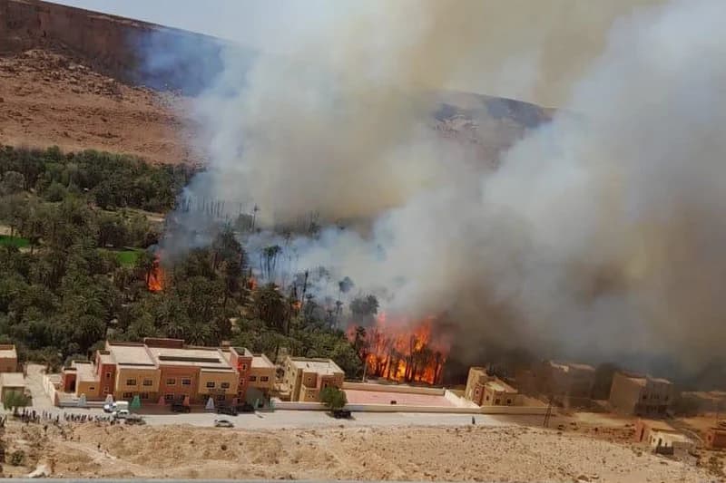 جمعويون ينادون بإنقاذ واحات المغرب