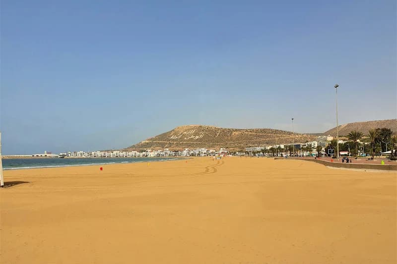 بيئيون ينفون رصد القرش في أكادير