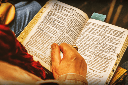 دراسة حديثة تحذر من خطر صحي في الكتب الأثرية القديمة