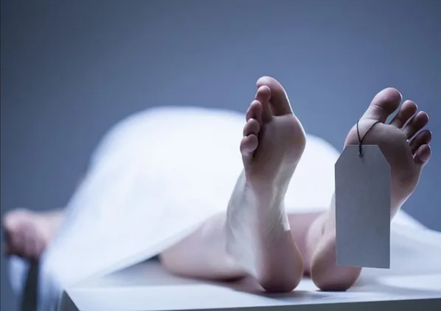 زوج ينهي حياة زوجته ويلقيها من أعلى سطح المنزل بمصر