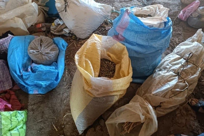 الدرك يحجز "مسحوق الشيرا" ببني جرفط