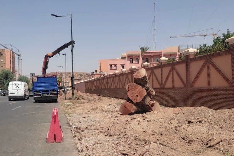 إزالة منحوتات تزعج فنانين بمراكش