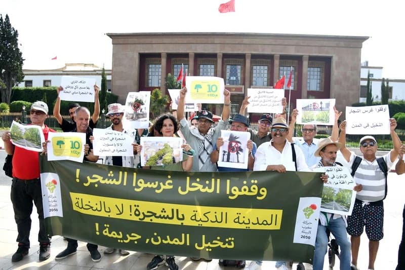 "تنخيل المدن" .. ناشطون مغاربة يحتجون أمام البرلمان لإيقاف "جريمة بيئية"