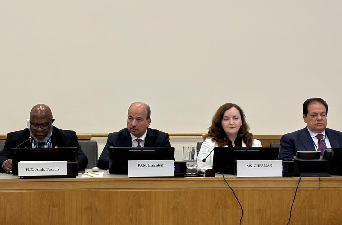 ميارة يترأس اجتماعا بنيويورك حول الدعم البرلماني والحكامة متعددة الأطراف