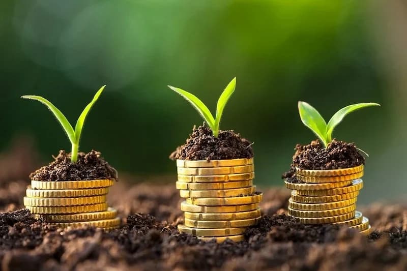 استراتيجية "تمويلات المناخ" بالمغرب .. تجربة ناجحة واحتياجات متزايدة