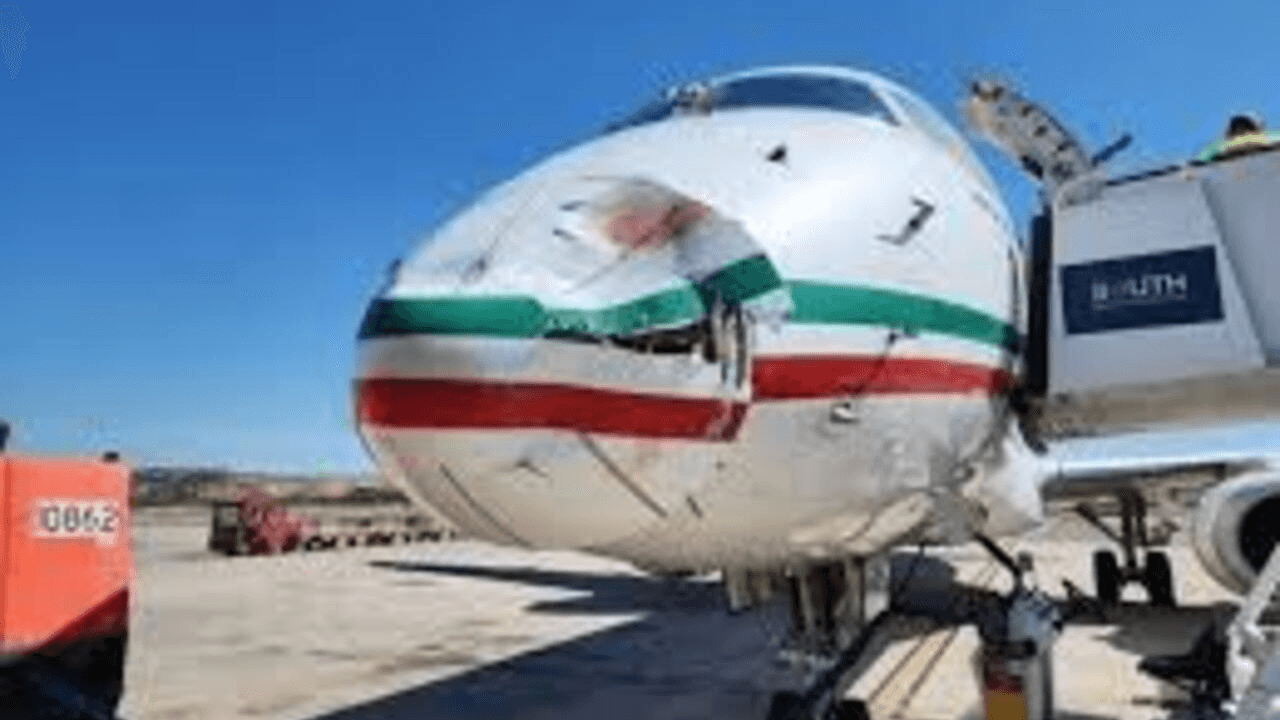 طائرة الخطوط الملكية المغربية تتعرض لحادث تصادم مع سرب من الطيور