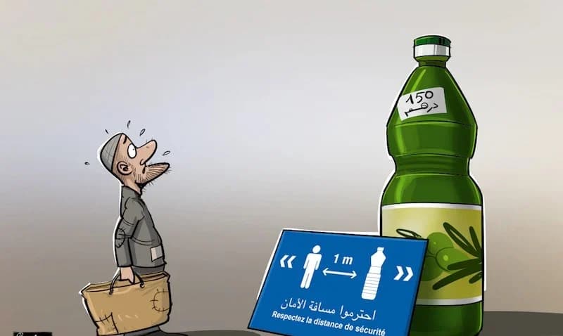 هل تنعش أزمة سوق زيت الزيتون سلوكات المضاربة والغش في المغرب؟