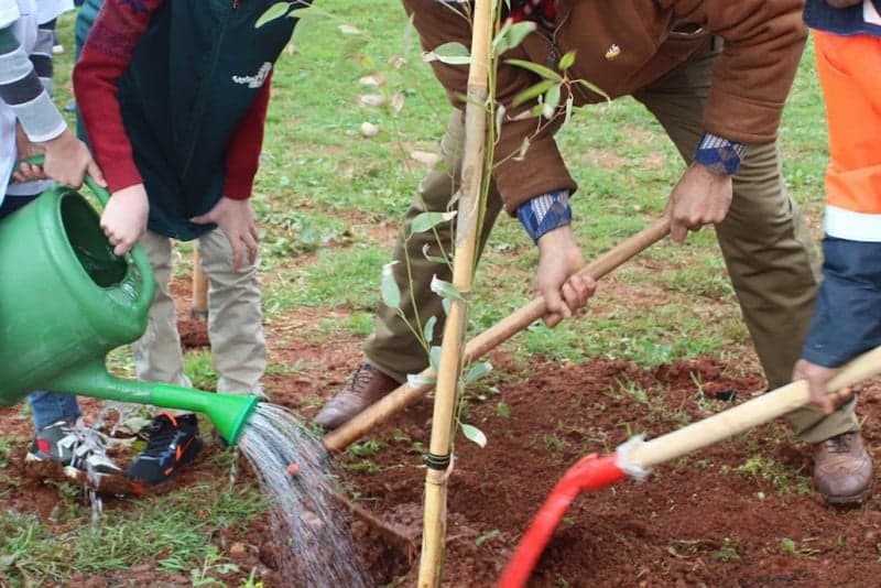 "أياد بيضاء" تطلق مبادرة لدعم التشجير في الناظور