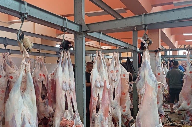 بني ملال تغلق المجزرة وتمنع الذبح