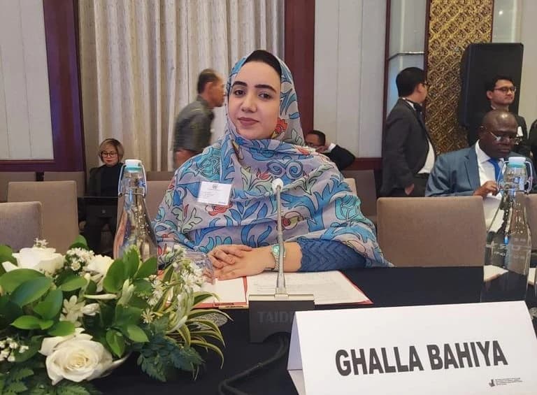 غلة باهية تبرز دعم الصحراء المغربية في نيويورك