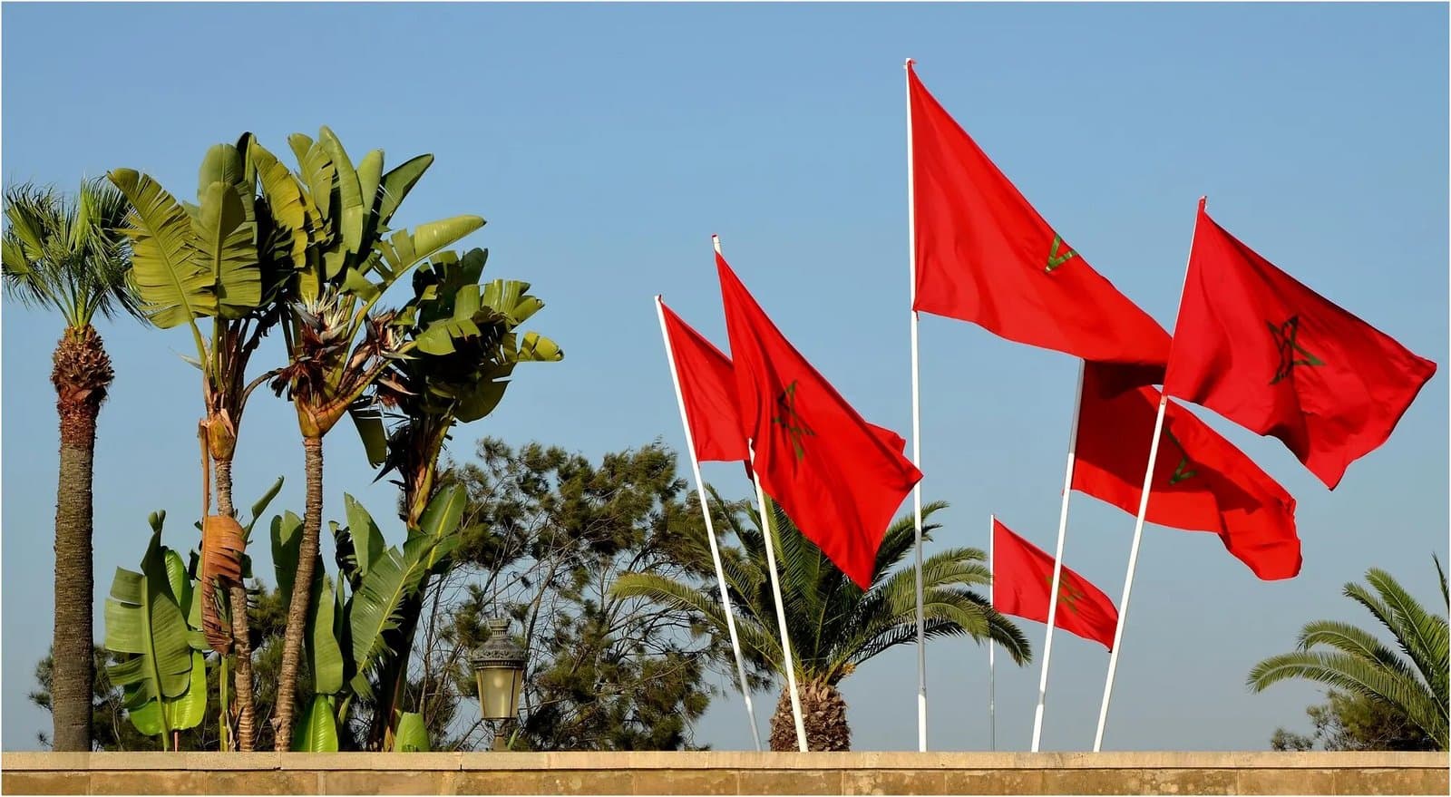 المغرب يستعد للاستحقاقات القارية مع اللجنة الاقتصادية