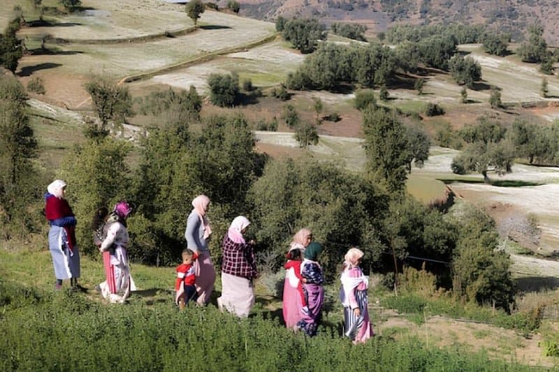 الهجرة الداخلية بالمغرب: حوالي 14,7 مليون مغربي غيّروا مكان إقامتهم