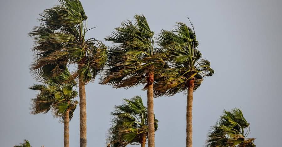 عواصف رملية مرتقبة بعدد من الأقاليم