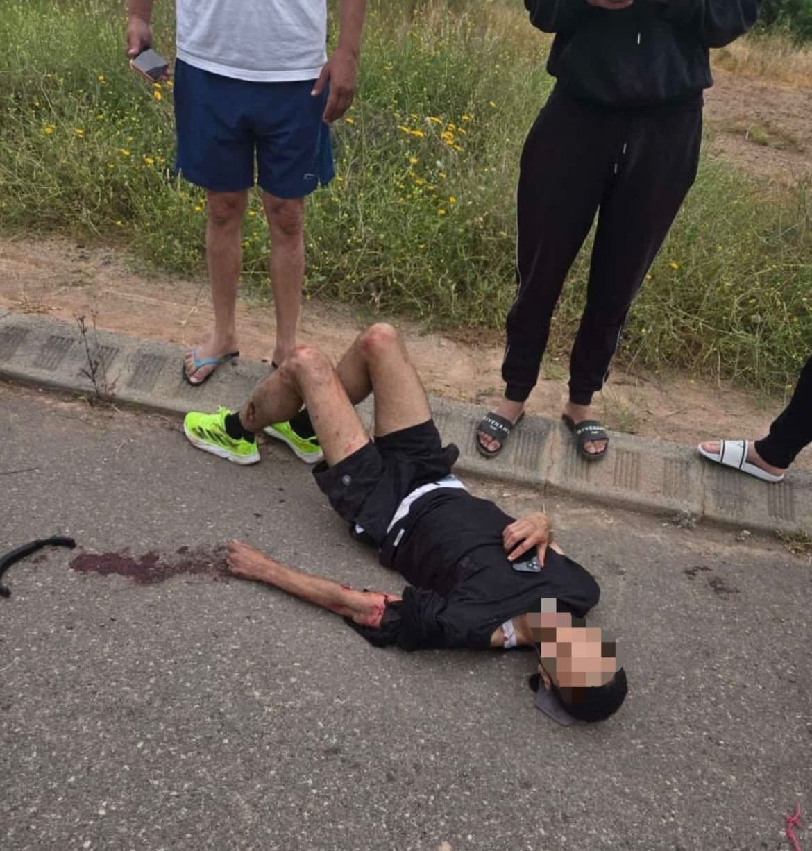 الكلاب الضالة: ظاهرة مؤرقة (فيديو)