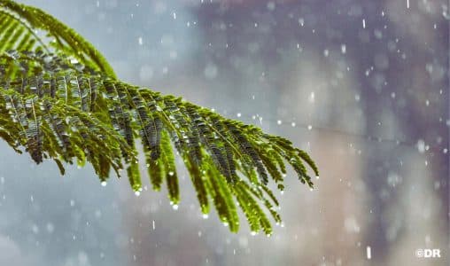 طقس : أمطار رعدية و زخات برد و رياح قوية