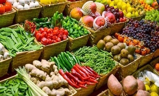 المغرب يزود إسبانيا بأكثر من 540 ألف طن من الخضر والفواكه