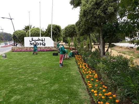 تكلفة 18 مليون درهم لسقي المساحات الخضراء في المضيق
