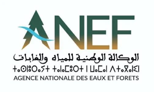 "Green Start up" إطلاق النسخة الثانية من مسابقة لتعزيز ريادة الأعمال الخضراء