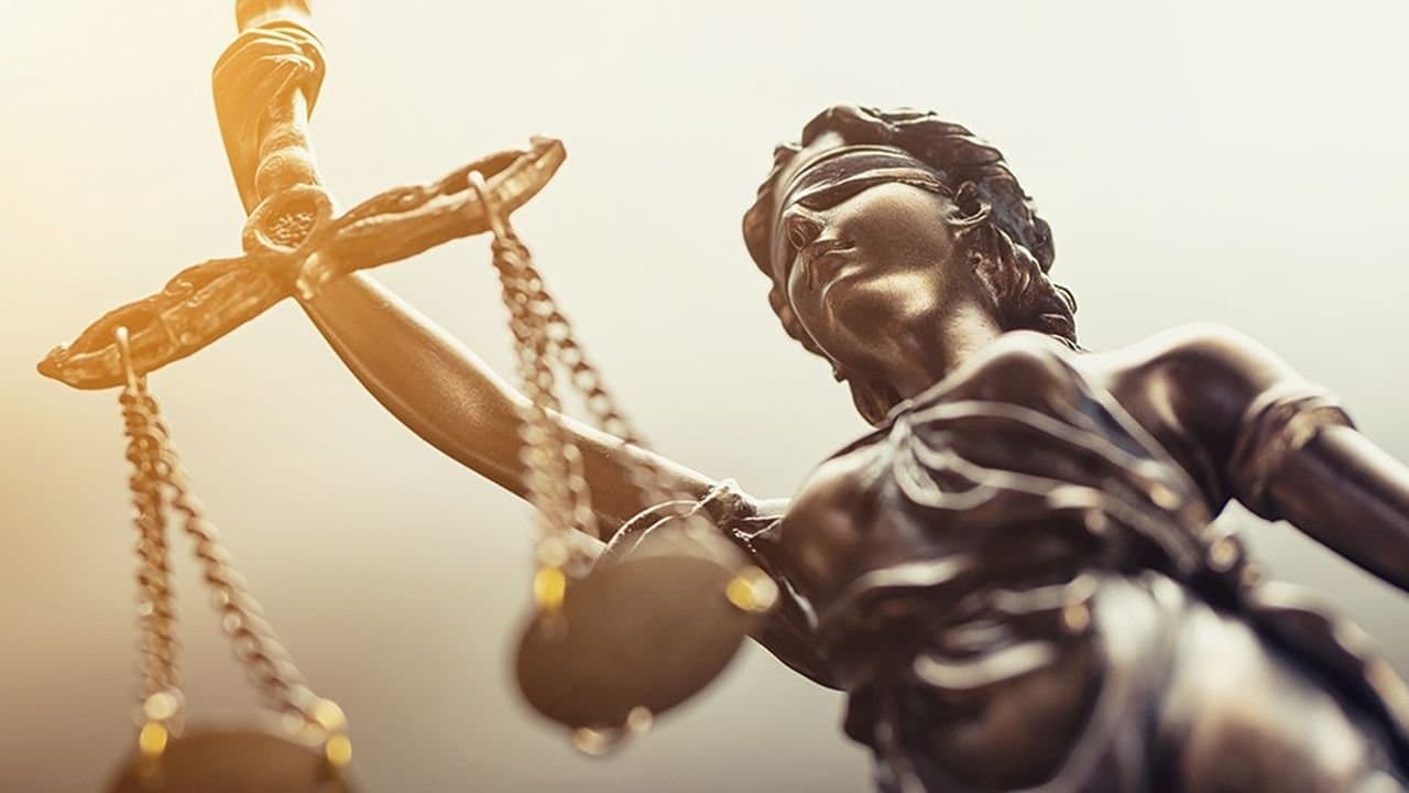 النظام القضائي في هولندا: تنظيم فعّال وعدالة ميسّرة