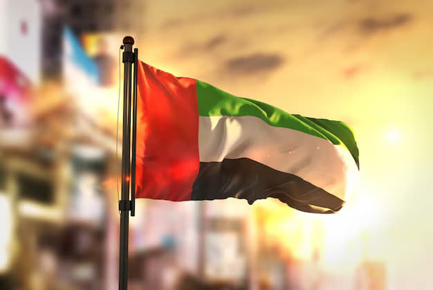 الإمارات تشدد إجراءاتها ضد ممولي الإرهاب